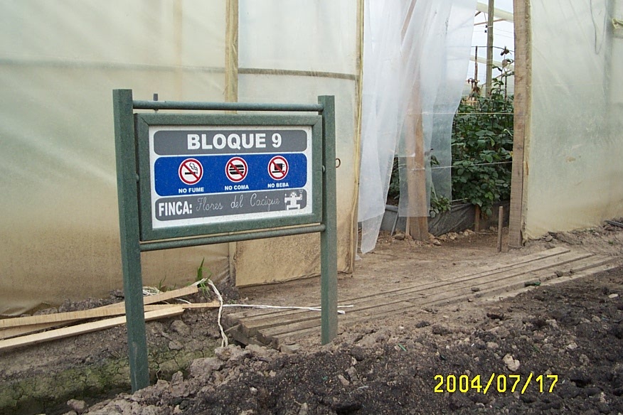 cultivadores en invernaderos avisos y señalización de fumigación aviso de peligro fumigación dentro bajo invernadero aviso señales de peligrosos fumigando señalizar zonas cultivo invernadero 04 cultivadores en invernaderos avisos y señalización de fumigación cultivadores en invernaderos avisos y señalización de fumigación aviso de peligro fumigación dentro bajo invernadero aviso señales de peligrosos fumigando señalizar zonas cultivo invernadero 04 aviso de peligro fumigación dentro bajo invernadero aviso señales de peligrosos fumigando señalizar zonas cultivo invernadero 04